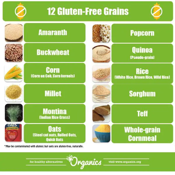 5 Most Common Gluten Foods You Need to Avoid in 2020 ...