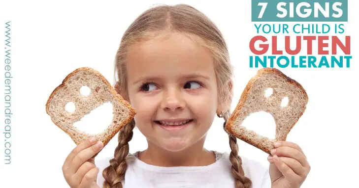7 Signs Your Child is Gluten Intolerant