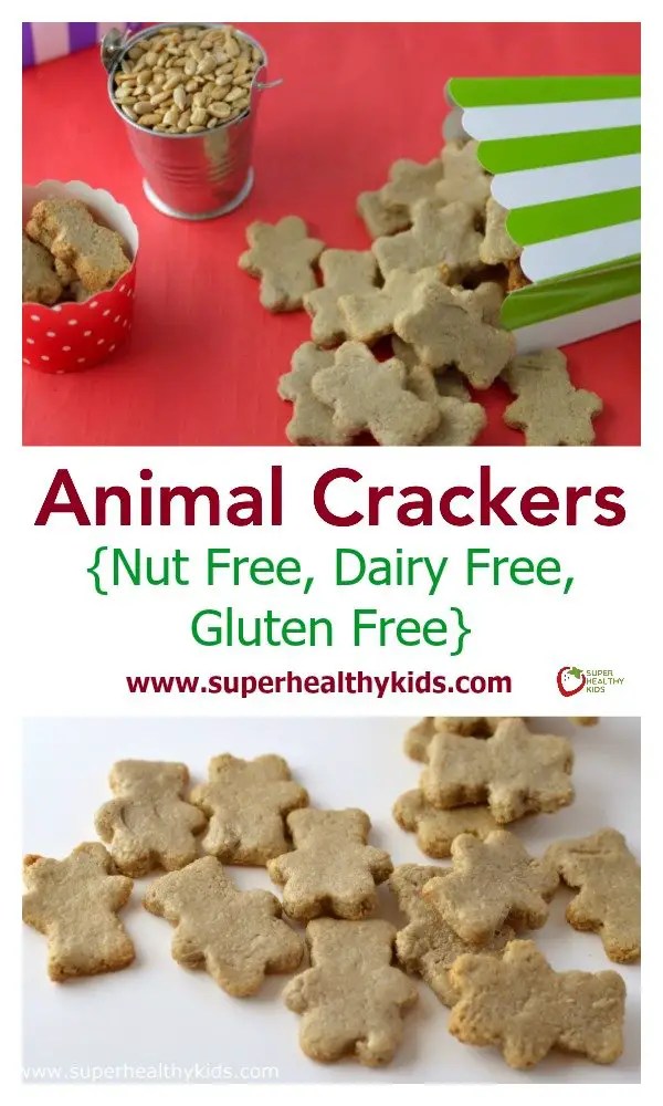 Animal Crackers Recipe {Nut Free, Dairy Free, Gluten Free ...