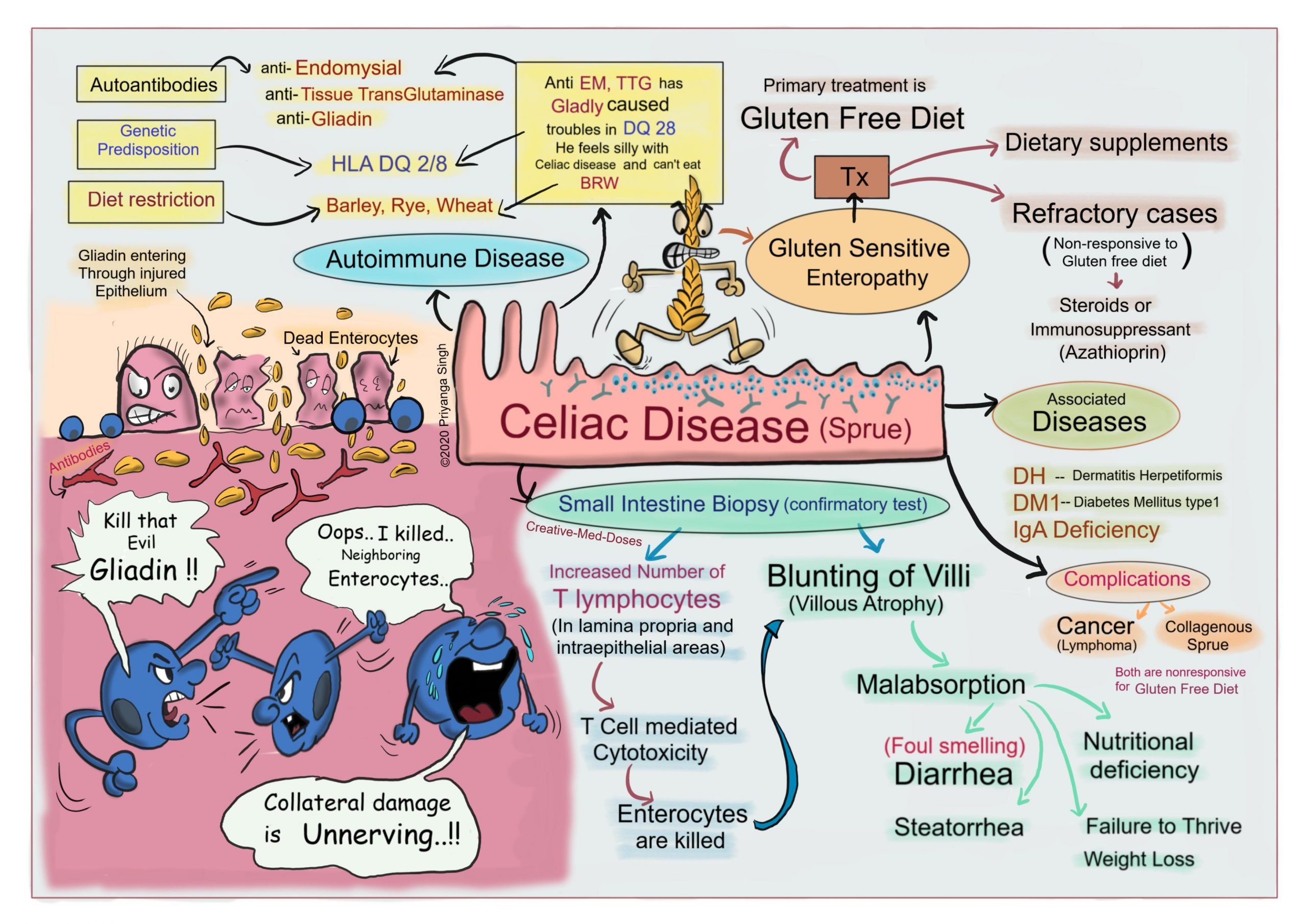 Celiac Disease: Gluten Intolerance