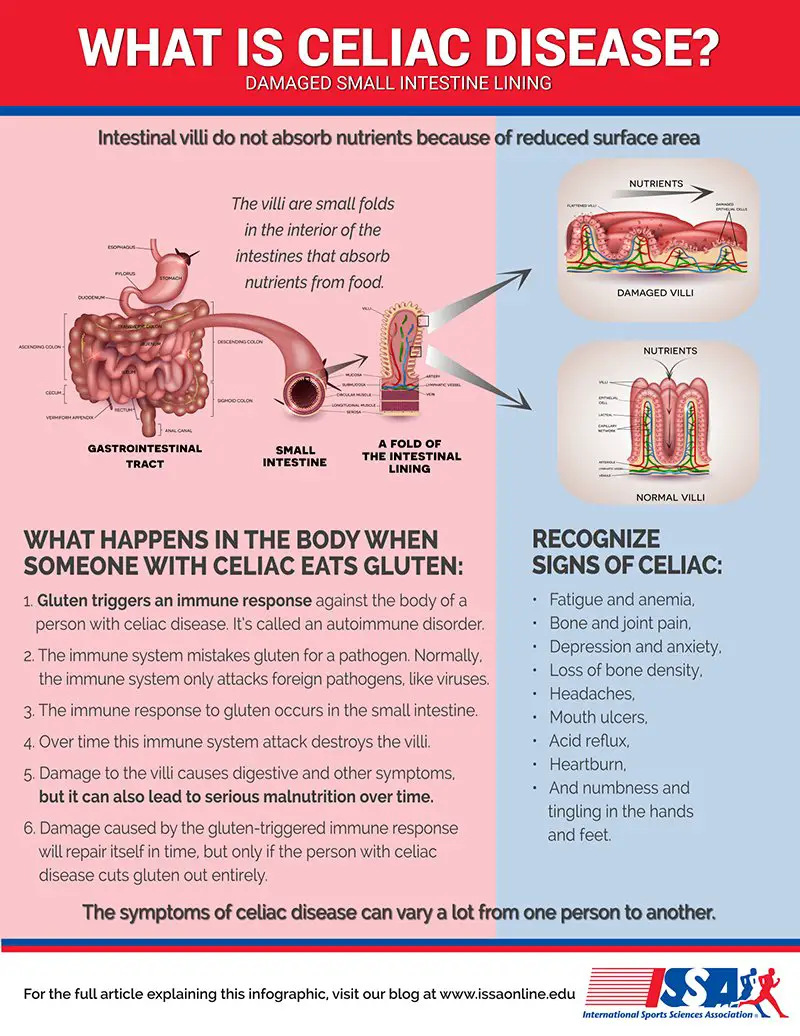 Celiac Disease or an Irrational Fear of Gluten?