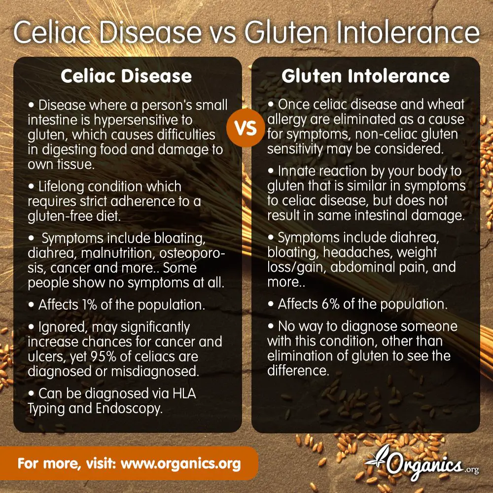Celiac Disease vs Gluten Intolerance 6% of Americans suffer from gluten ...