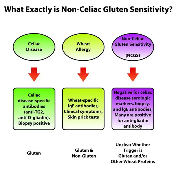 Could Celiac Disease Could Be Sabotaging Your Health?