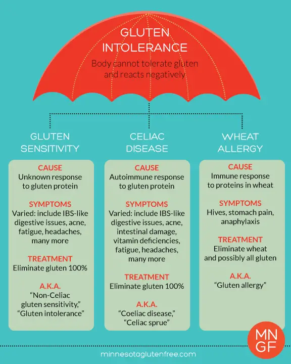 Difference between gluten intolerance, gluten sensitivity, Celiac ...