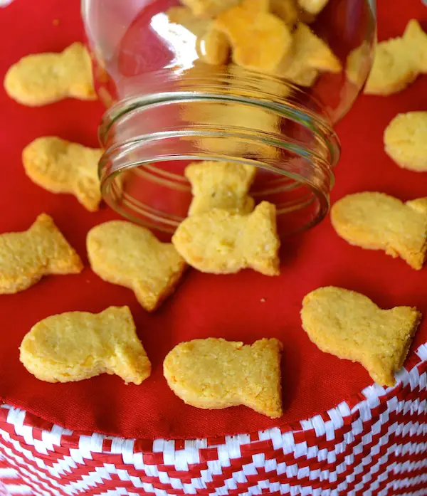 DIY 2 Ingredient Gluten Free Goldfish Crackers