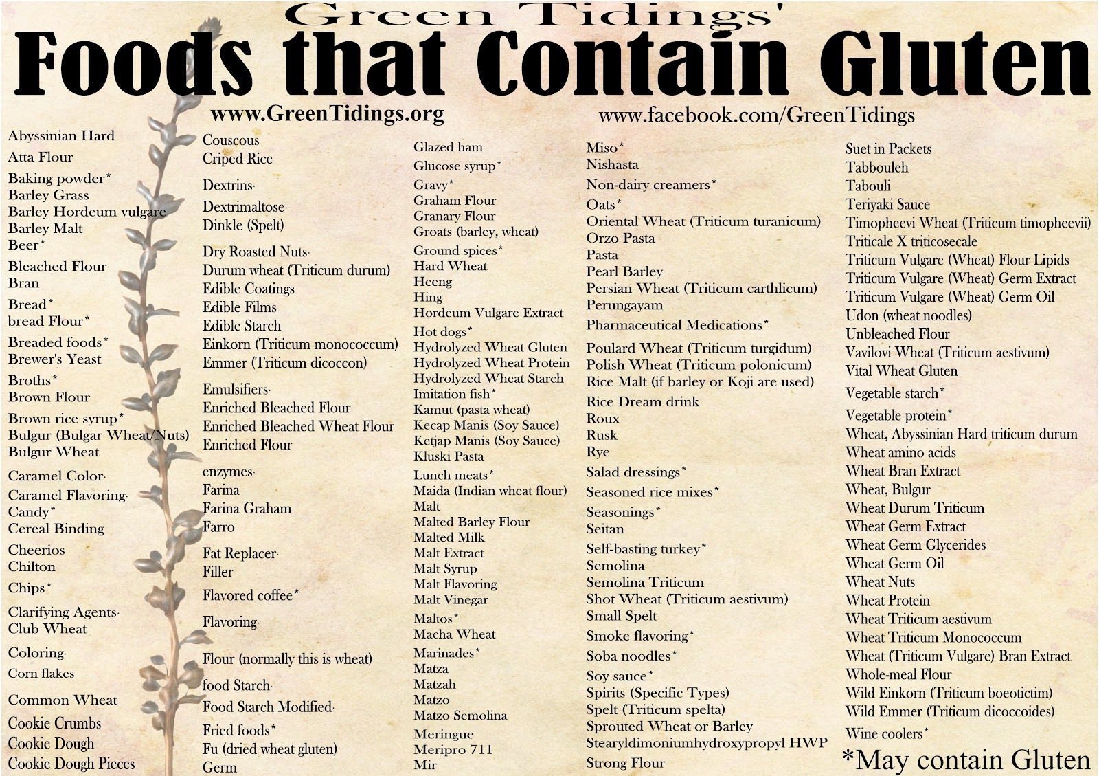 Foods than Contain Gluten
