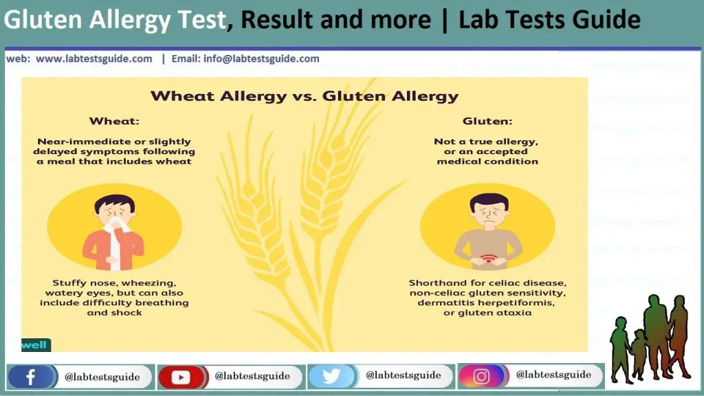 Gluten Allergy Test, Result and more