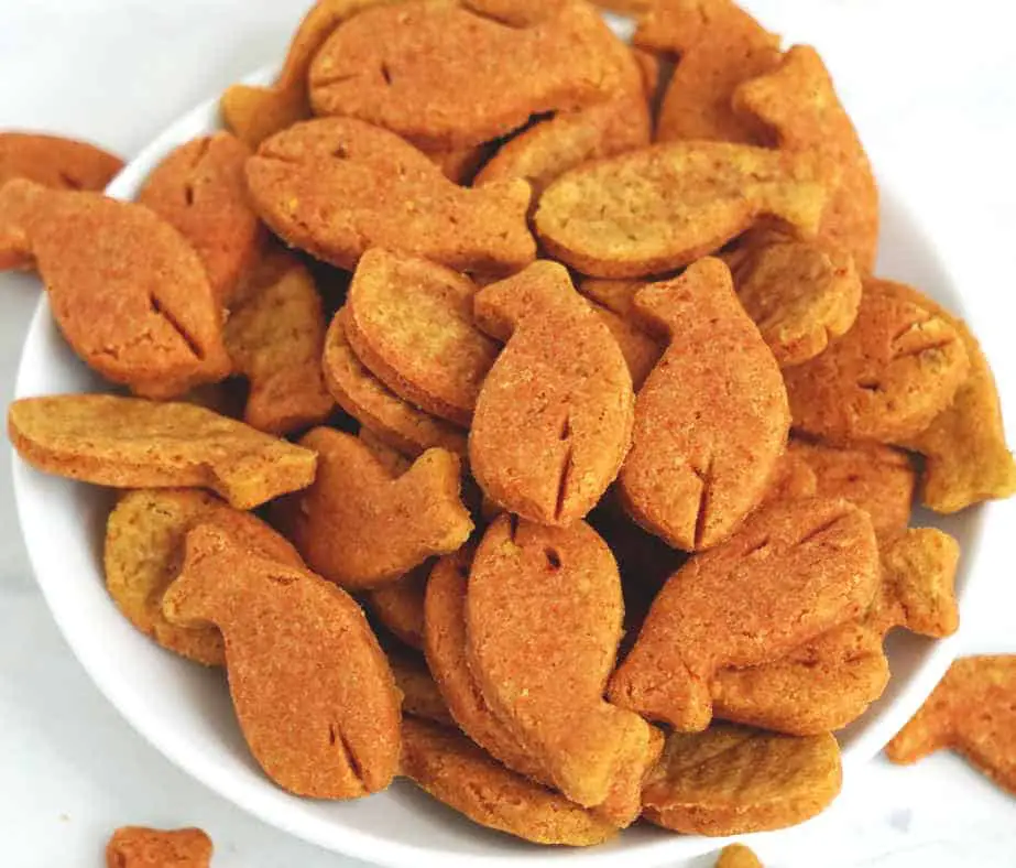 Gluten Free Goldfish Crackers (Dairy Free, Vegan)