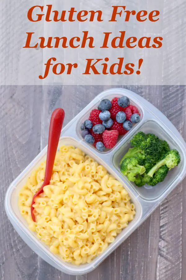 Gluten Free Lunch Ideas for Kids!