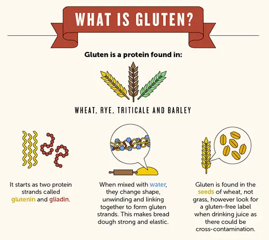 Gluten: What Is It, Why The Hype, And Is It Bad For You?!  Steemit