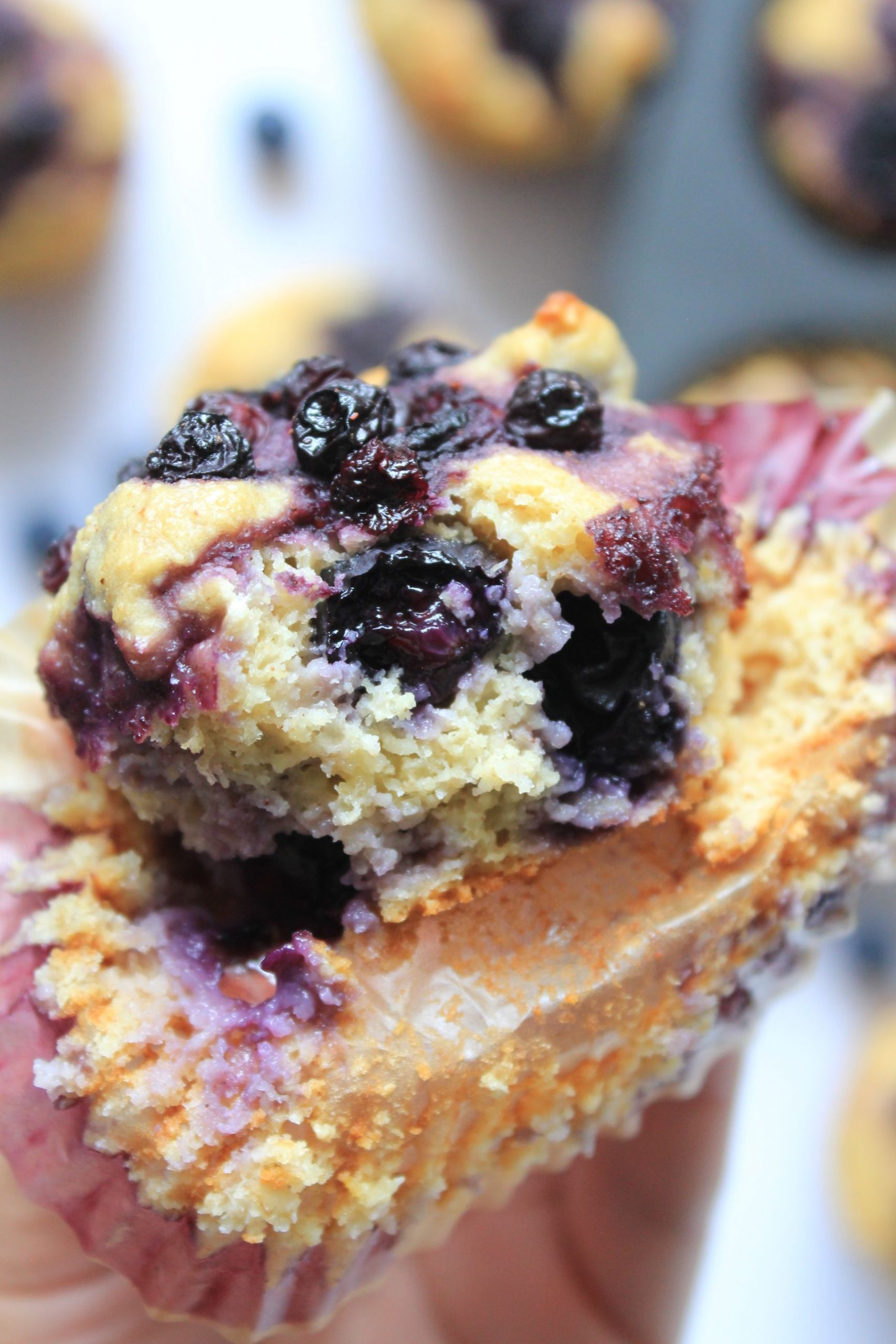 Healthy Blueberry Muffins {Gluten Free, Sugar Free}
