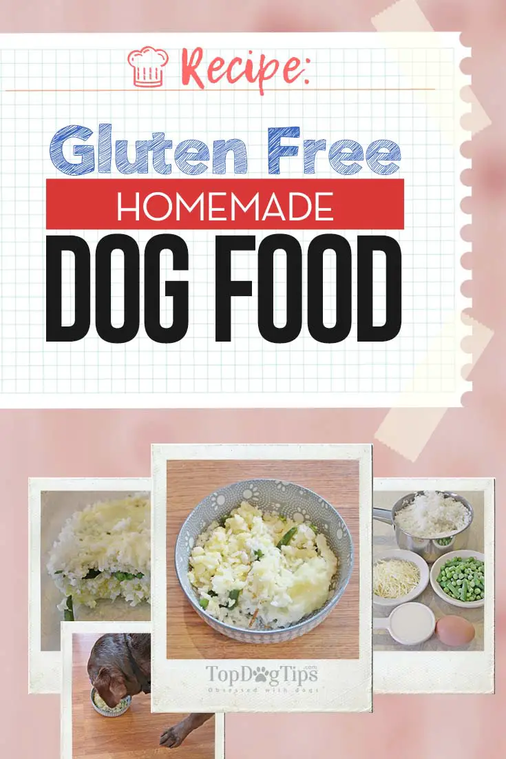 Homemade Gluten Free Dog Food Recipe for Dogs With Allergies