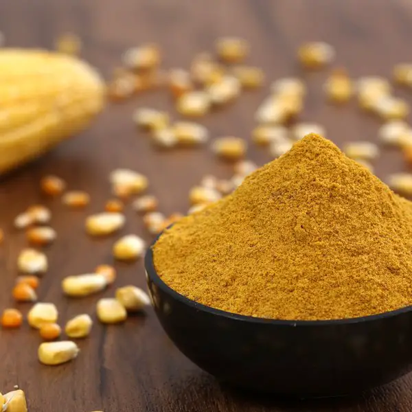 Indian Corn Gluten Meal Manufacturers, Suppliers &  Exporters in India