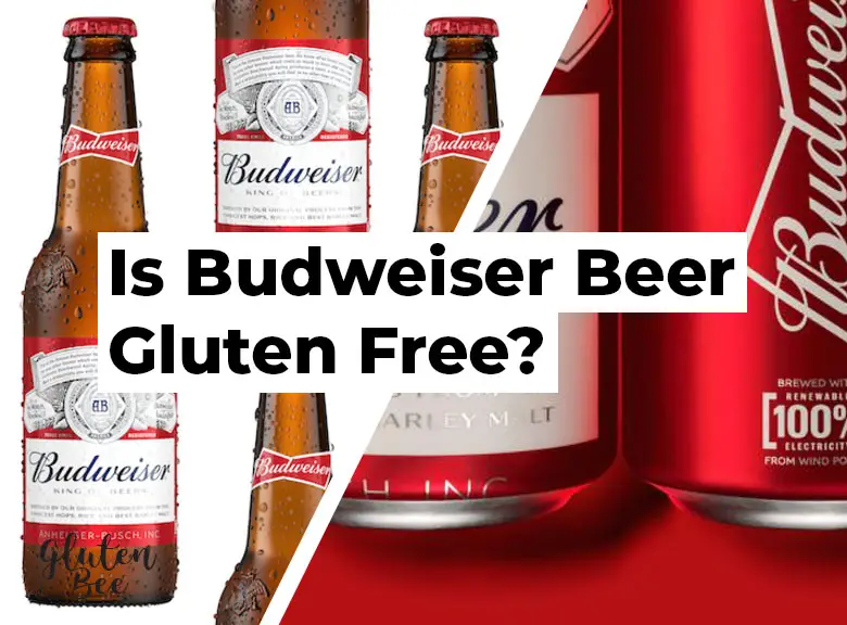 Is Budweiser Beer Gluten Free?