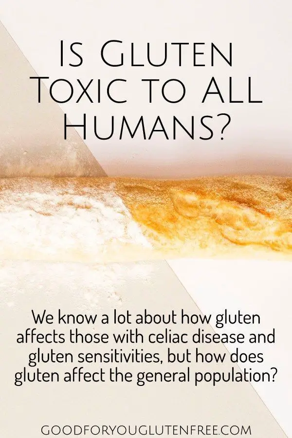Is Gluten Bad For You? Does Gluten Cause Inflammation in All Humans ...
