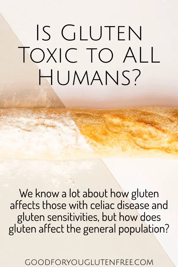 Is Gluten Toxic to ALL Humans? Good For You Gluten Free