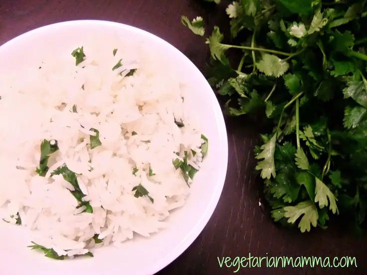 mock chipotle rice gluten free vegan via vegetarianmamma.com ...