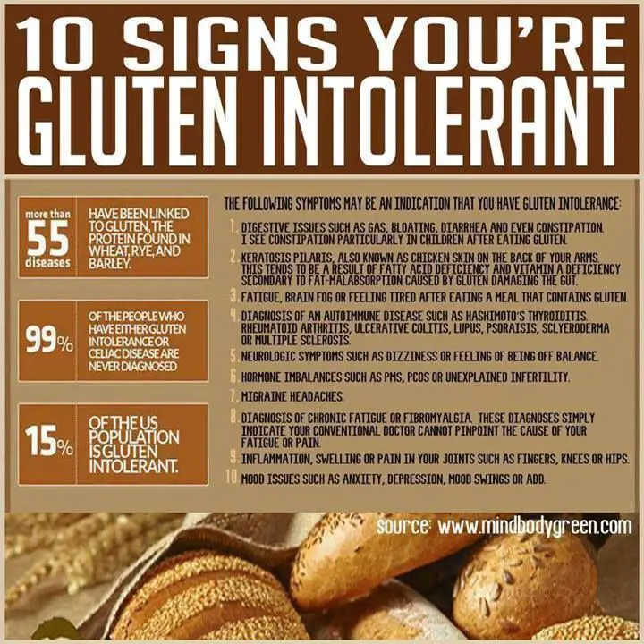 Old Time Remedies, Health and Wellness: What Is Gluten?