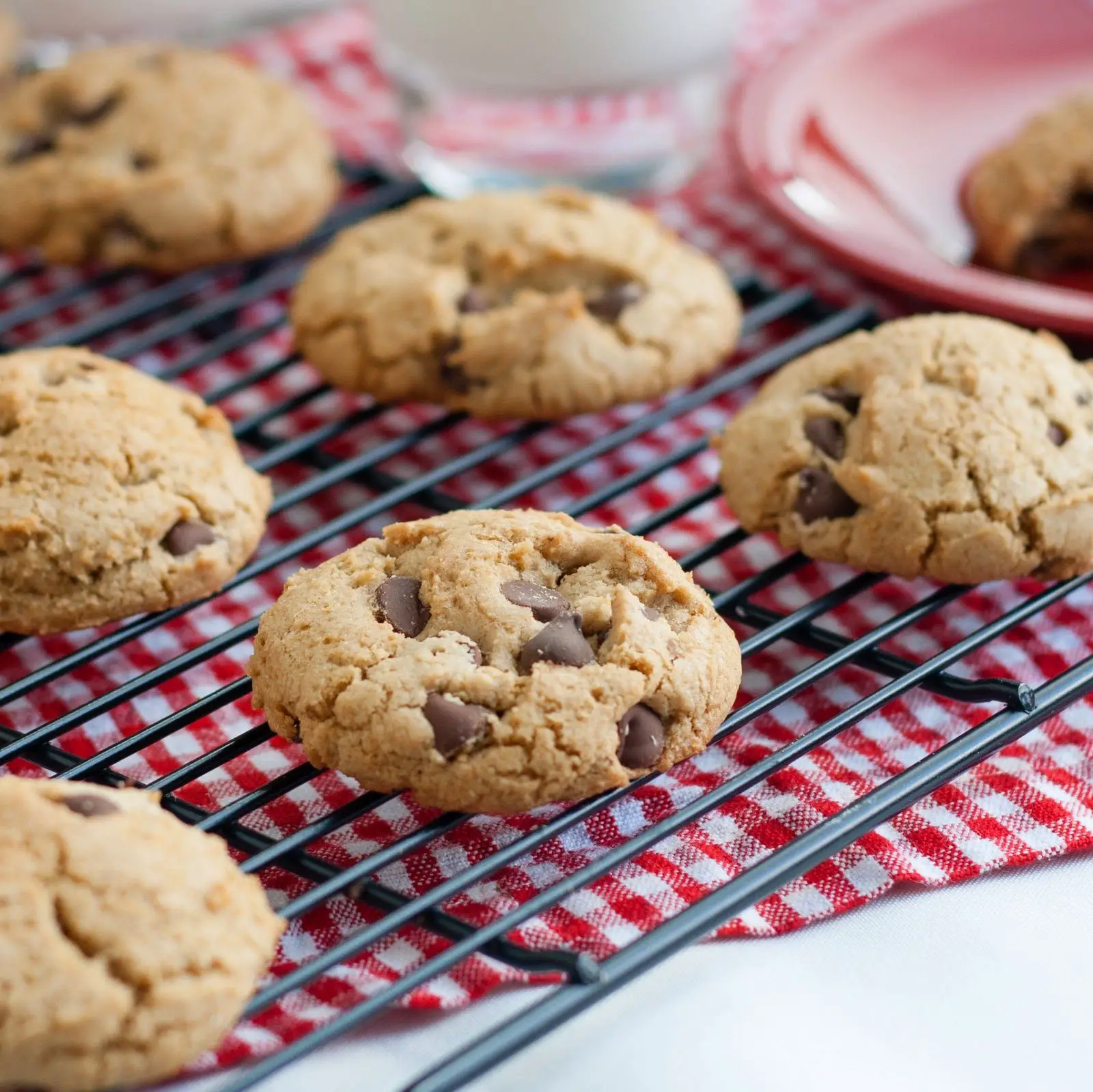 Tiddleywinks and More: Perfect Gluten and Dairy Free Chocolate Chip ...