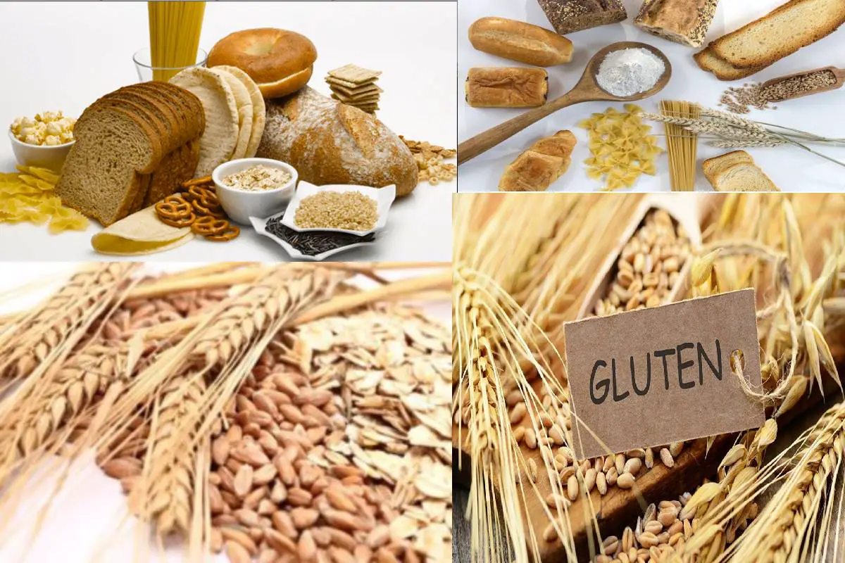 What is Gluten?  Definition, Composition, Uses, Diagnoses ...